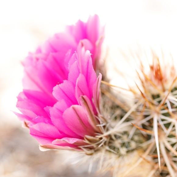 Meet your Posher, Jeni - Picture 1 of 1